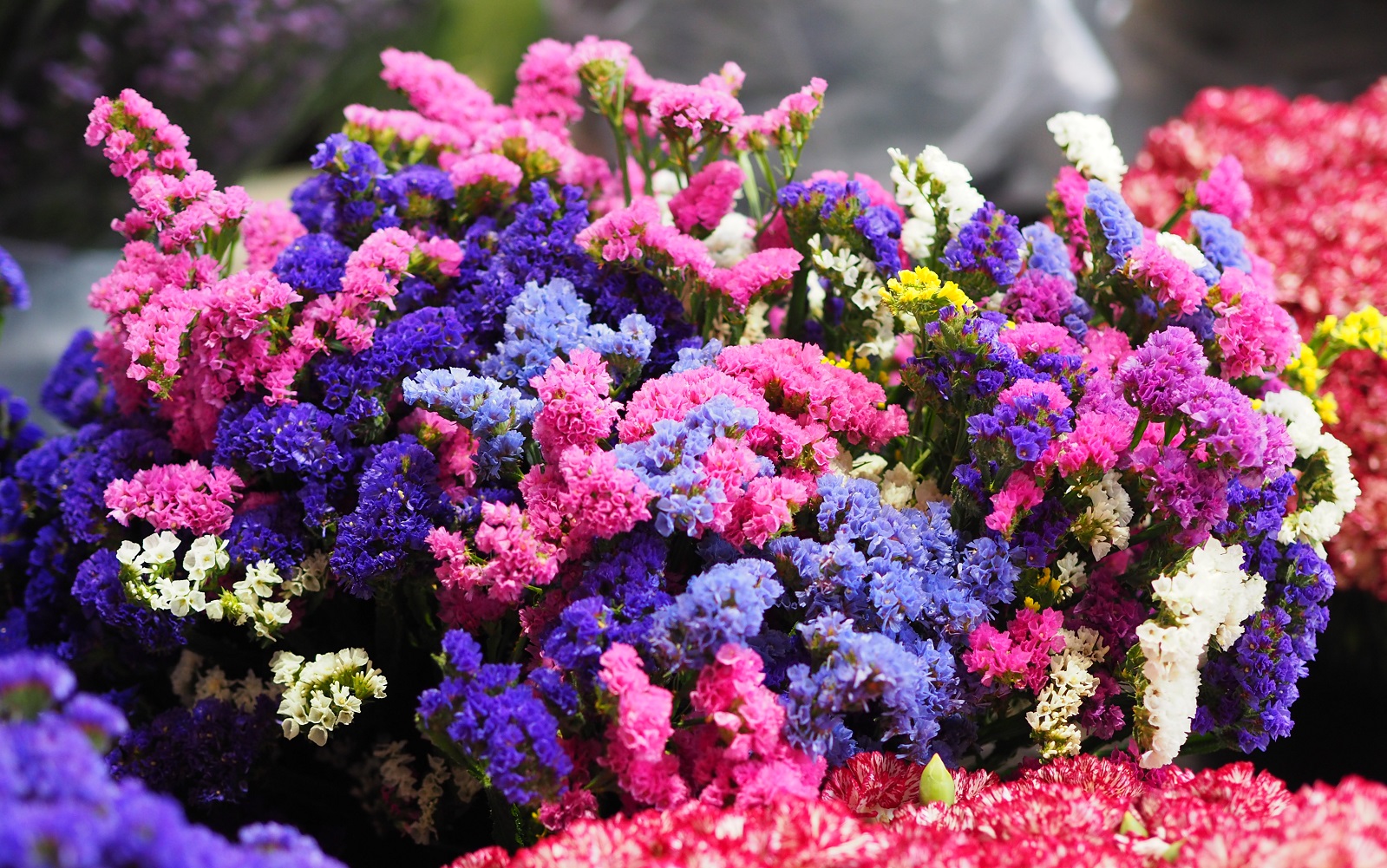 Dandenong Market — Jenny’s Flowers