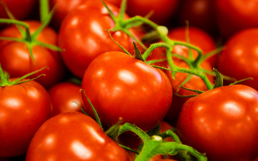 tomato prices dandenong