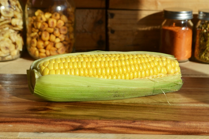 corn on the cob roast recipes