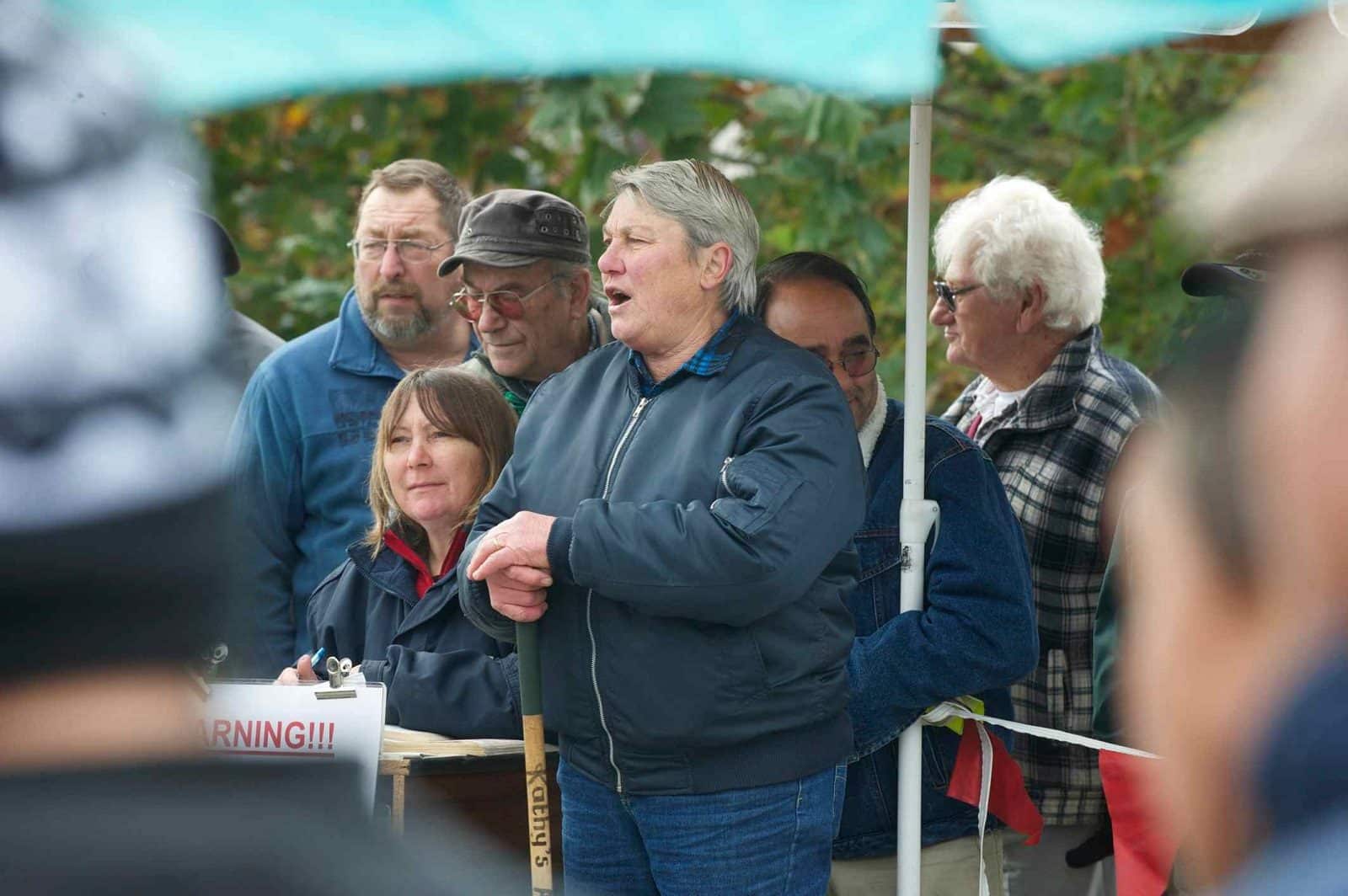 public auction dandenong