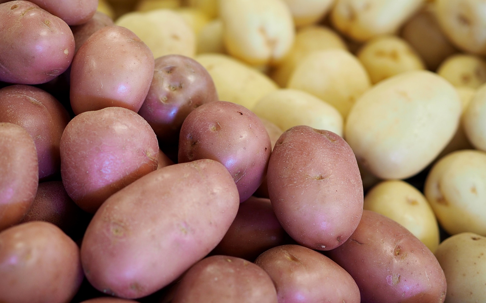 dandenong market produce