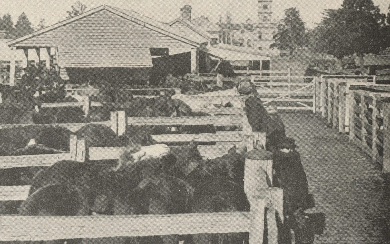 archive of dandenong market