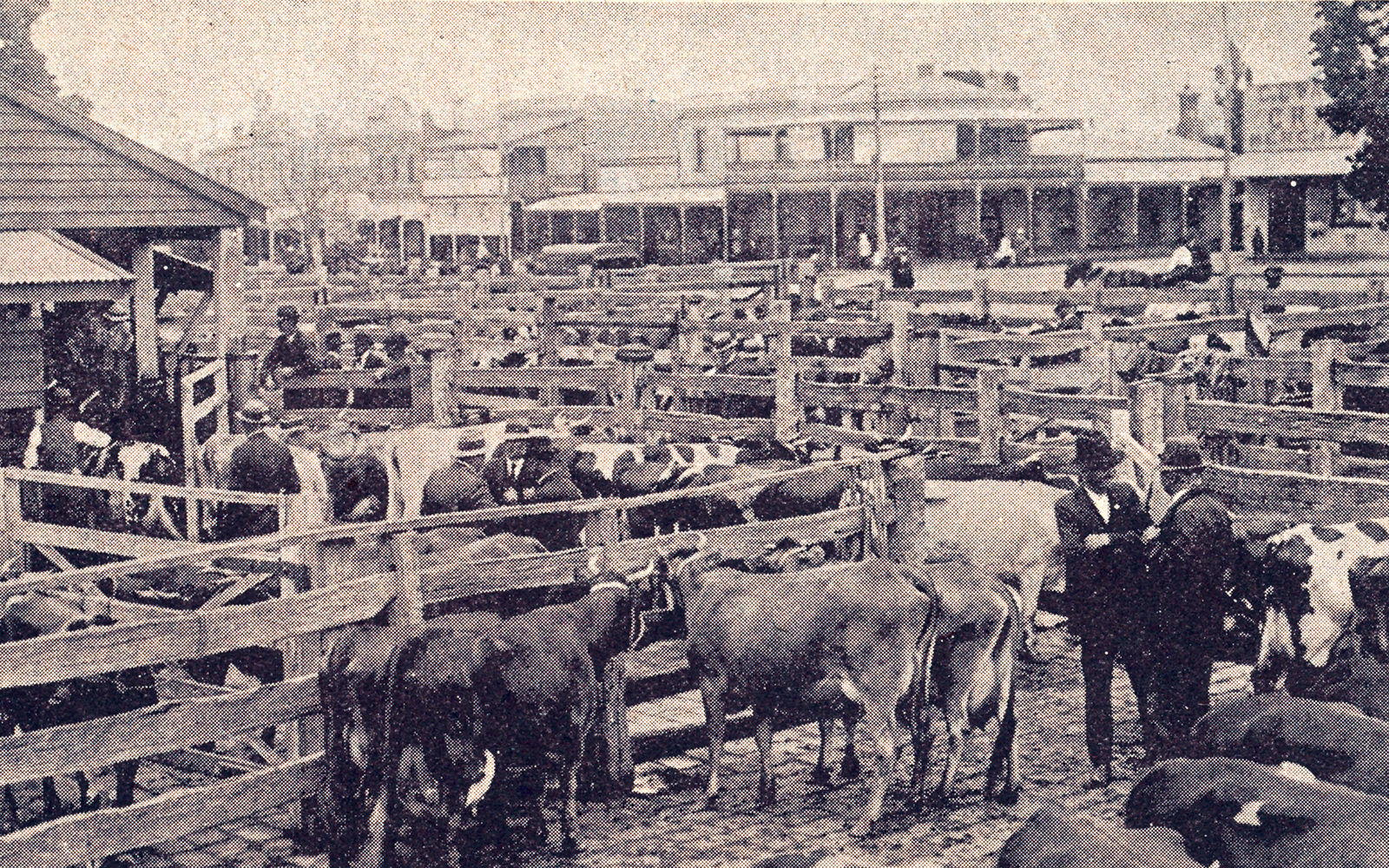 markets in melbourne